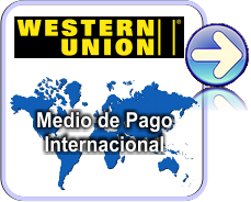 westernunion